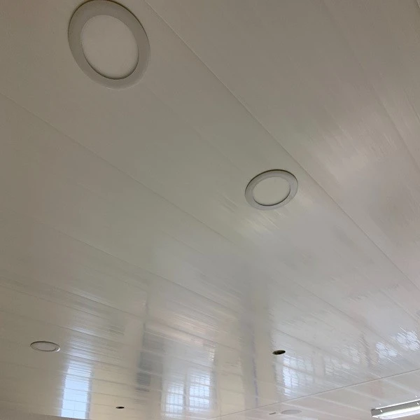 Panouri de tavan din PVC